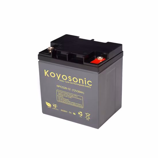 12V 26Ah Chariot de golf Batterie de gel de puissance motrice pour chariot motorisé par roue