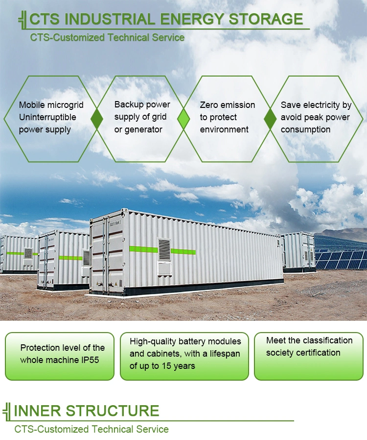 Customized LiFePO4 500kwh 1mwh 2mwh Container Bess for Solar System